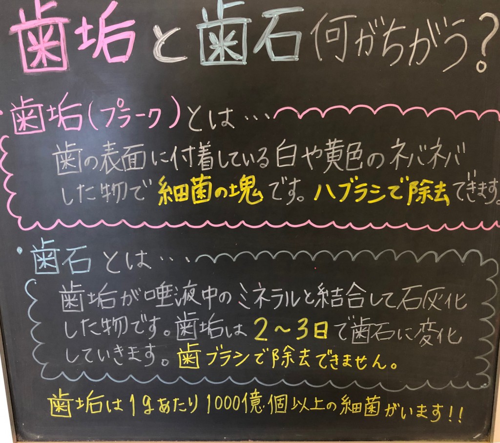 歯医者の一言（歯垢と歯石）